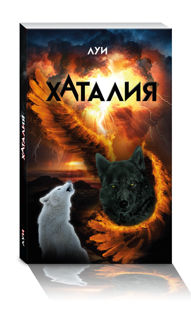 book 12